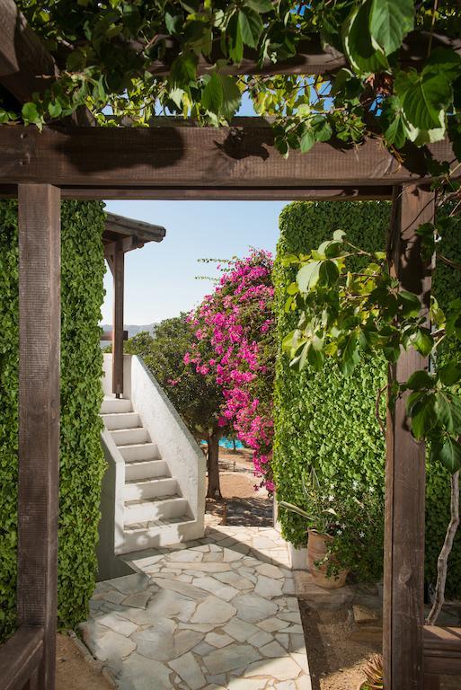 Aparthotel Ambelos Agia Pelagia (Kreta)