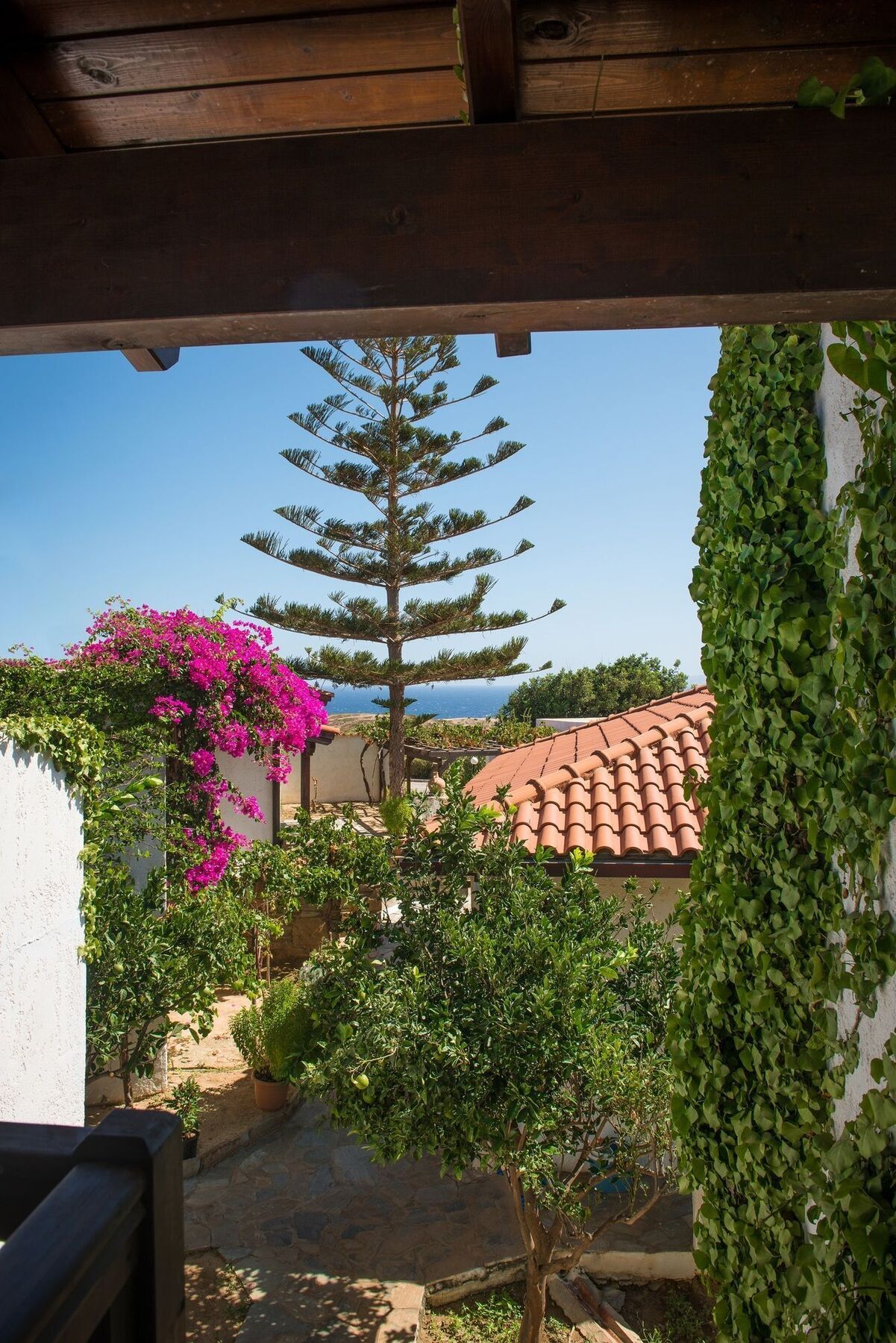 Ambelos Aparthotel Agia Pelagia (Kreta)