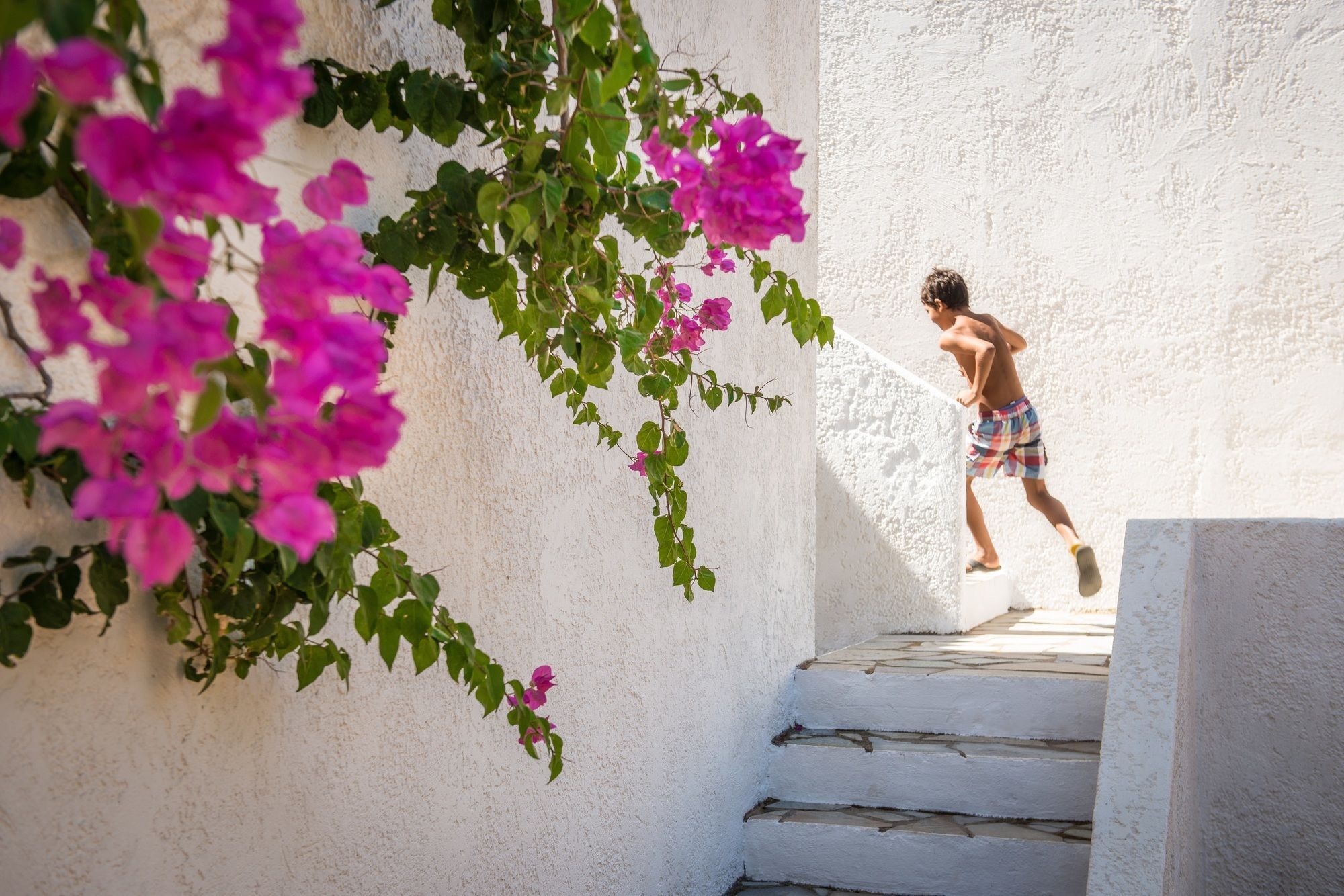 Ambelos Hotel apartamentowy Agia Pelagia
