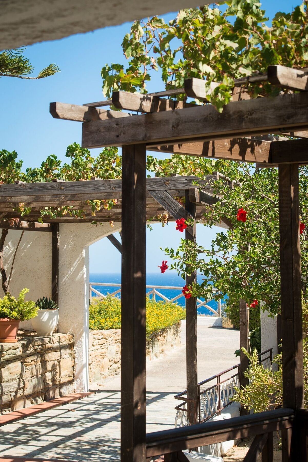 Ambelos 3* Agia Pelagia (Kreta)