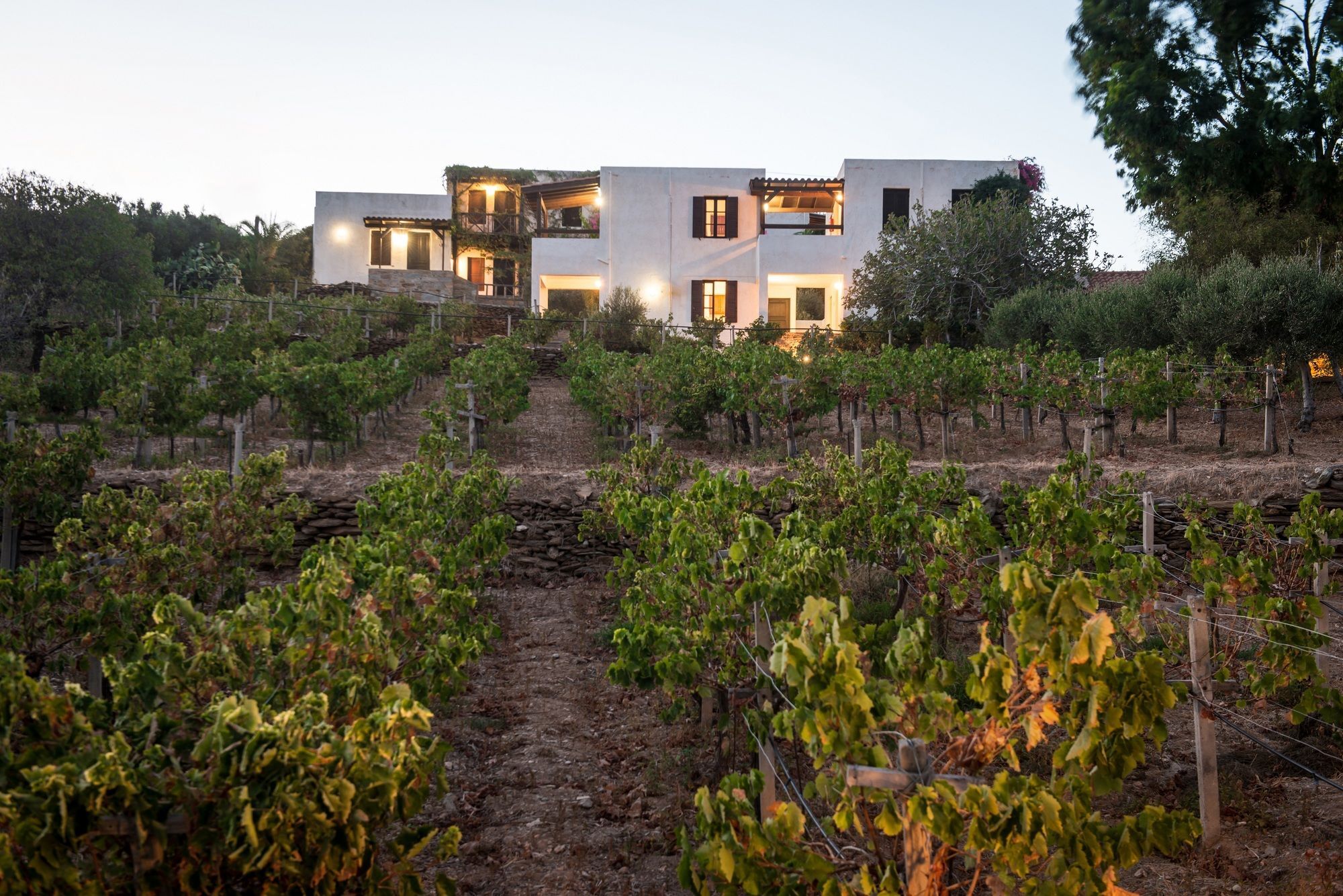 Ambelos 3* Agia Pelagia