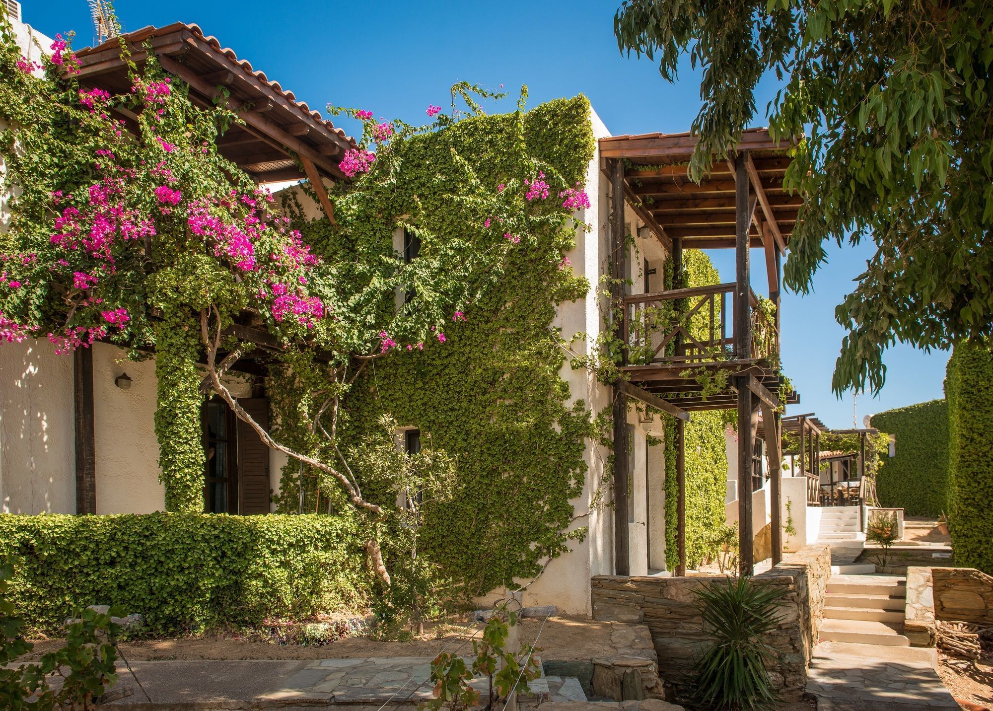Ambelos 3* Agia Pelagia (Kreta)