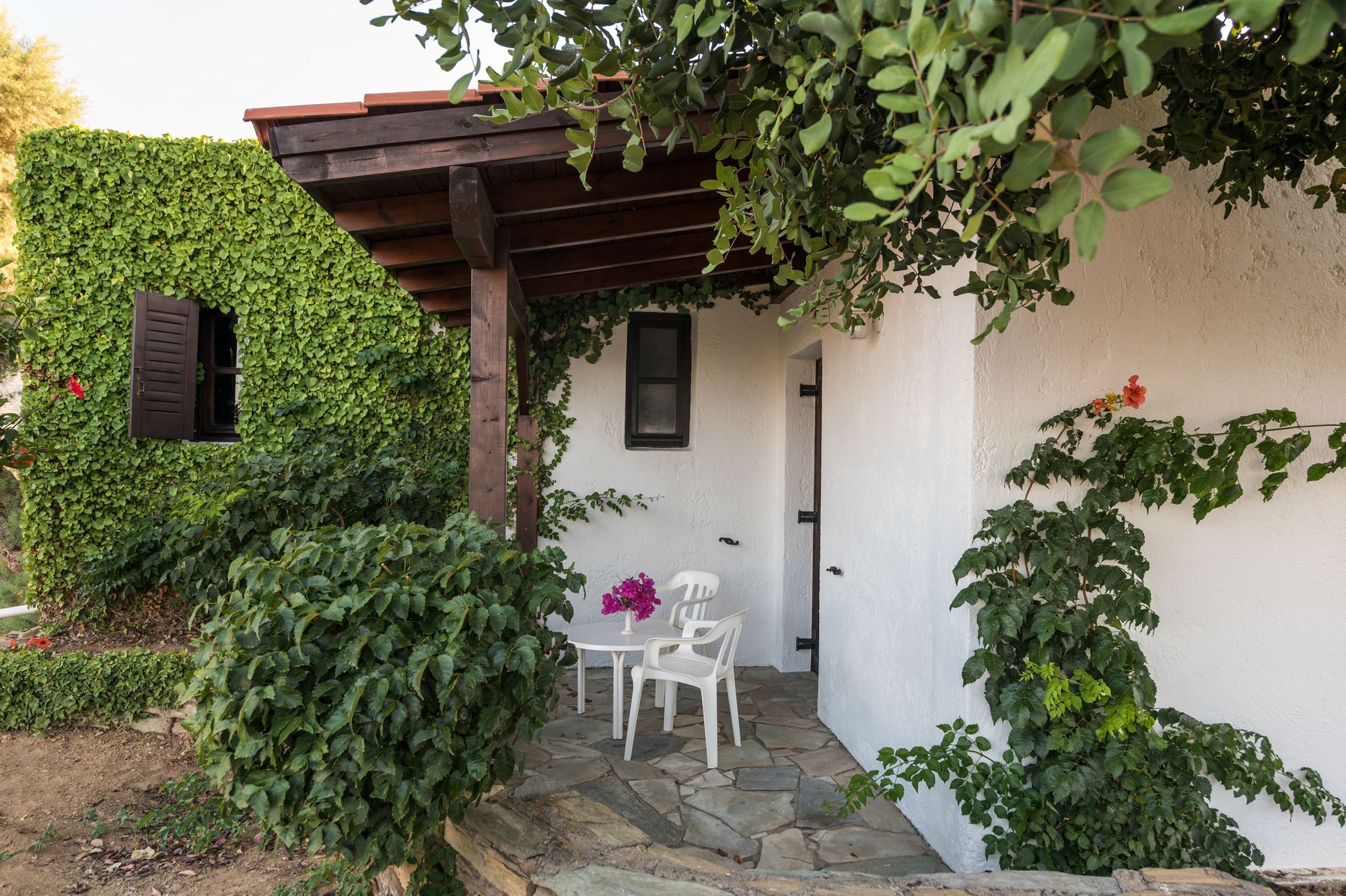 Ambelos Agia Pelagia (Kreta)